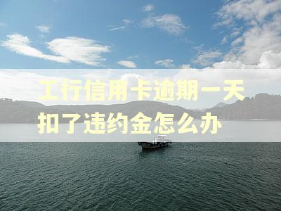 工行信用卡逾期一天扣了违约金怎么办