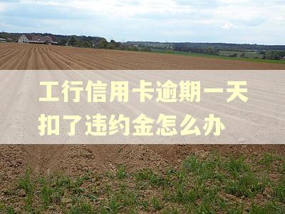 工行信用卡逾期一天扣了违约金怎么办
