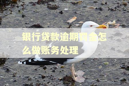 银行贷款逾期罚金怎么做账务处理