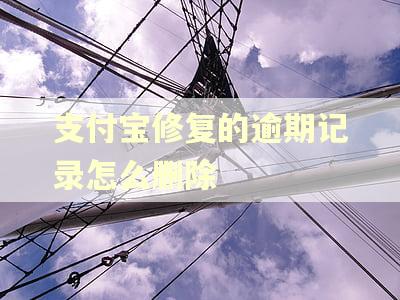 支付宝修复的逾期记录怎么删除 支付宝修复的逾期记录怎么删除