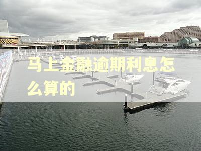 马上金融逾期利息怎么算的