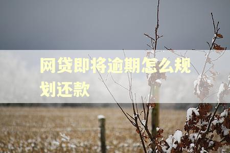 网贷即将逾期怎么规划还款