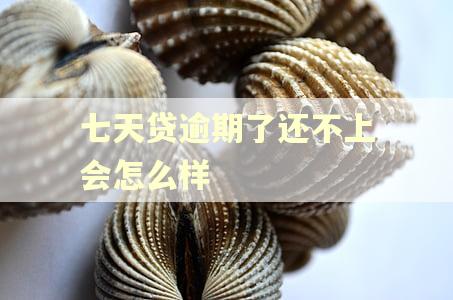 七天贷逾期了还不上会怎么样