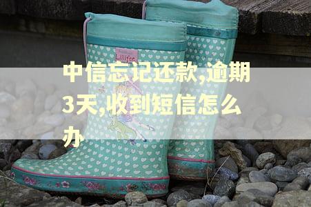 中信忘记还款,逾期3天,收到短信怎么办