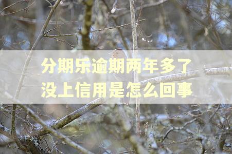 分期乐逾期两年多了没上信用是怎么回事