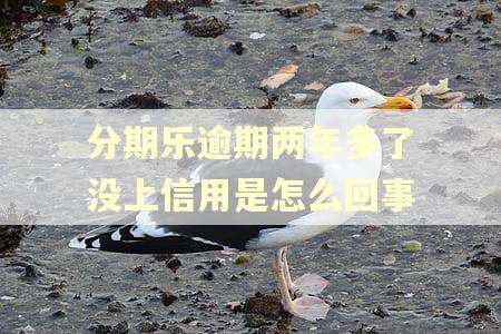 分期乐逾期两年多了没上信用是怎么回事