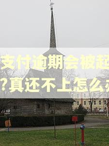 翼支付逾期会被起诉吗?真还不上怎么办