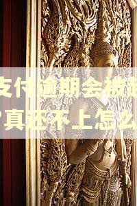 翼支付逾期会被起诉吗?真还不上怎么办