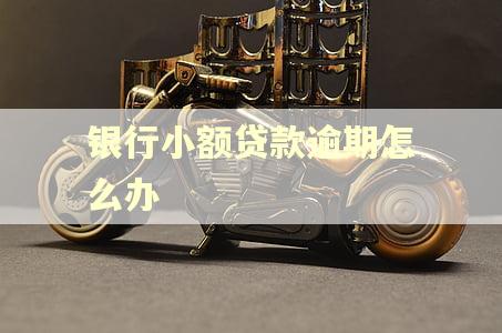 银行小额贷款逾期怎么办