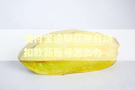支付宝逾期花呗自动扣款新账号怎么办