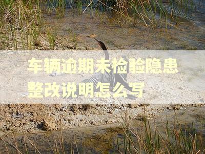 车辆逾期未检验隐患整改说明怎么写