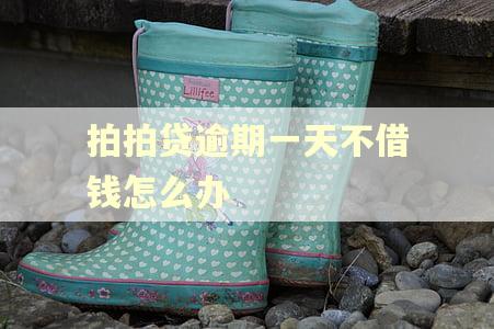 拍拍贷逾期一天不借钱怎么办 拍拍贷逾期一天不借钱怎么办