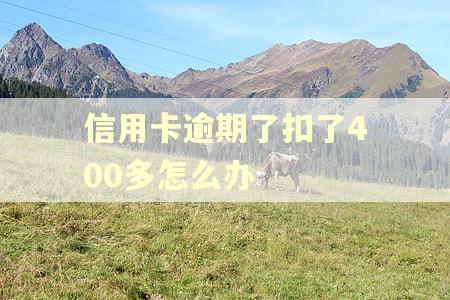 信用卡逾期了扣了400多怎么办