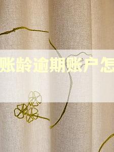 长账龄逾期账户怎么催