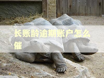 长账龄逾期账户怎么催