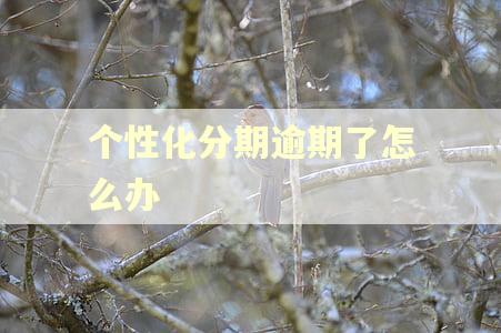 个性化分期逾期了怎么办