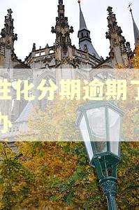 个性化分期逾期了怎么办 个性化分期逾期了怎么办
