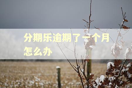 分期乐逾期了一个月怎么办