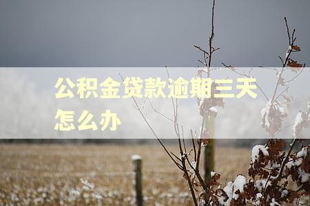 公积金贷款逾期三天怎么办
