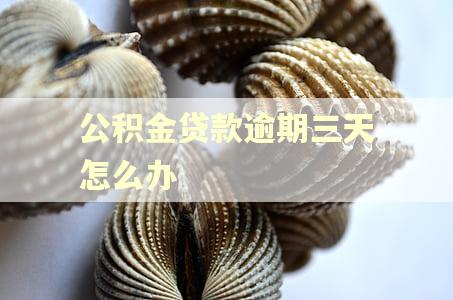 公积金贷款逾期三天怎么办