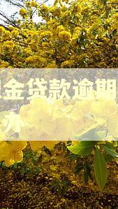 公积金贷款逾期三天怎么办