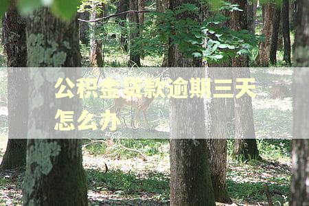 公积金贷款逾期三天怎么办 公积金贷款逾期三天怎么办