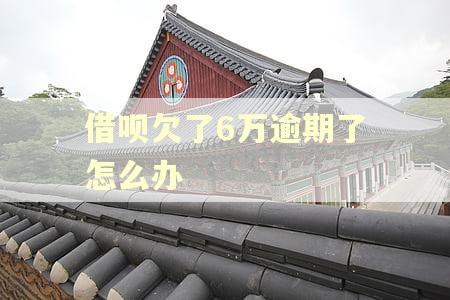 借呗欠了6万逾期了怎么办