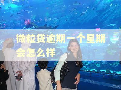 微粒贷逾期一个星期会怎么样