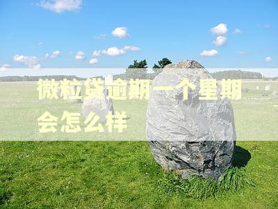 微粒贷逾期一个星期会怎么样 微粒贷逾期一个星期会怎么样