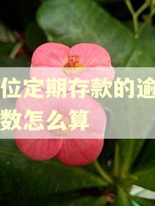 单位定期存款的逾期天数怎么算