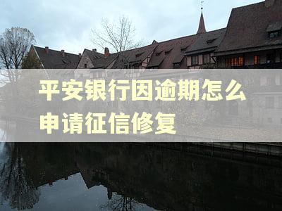 平安银行因逾期怎么申请征信修复
