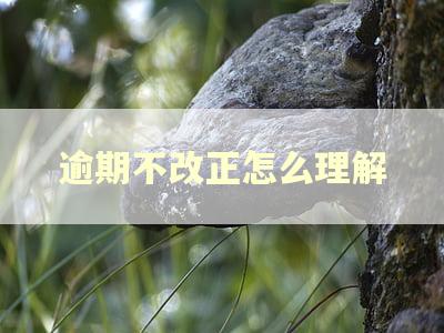 逾期不改正怎么理解