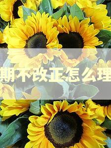 逾期不改正怎么理解