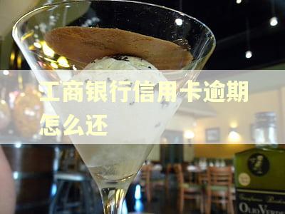 工商银行信用卡逾期怎么还