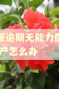 借呗逾期无能力偿还,房产怎么办
