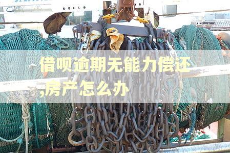 借呗逾期无能力偿还,房产怎么办