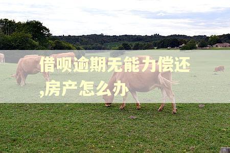 借呗逾期无能力偿还,房产怎么办