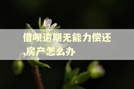 借呗逾期无能力偿还,房产怎么办 借呗逾期无能力偿还,房产怎么办