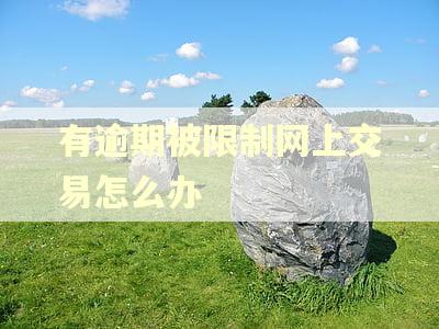 有逾期被限制网上交易怎么办