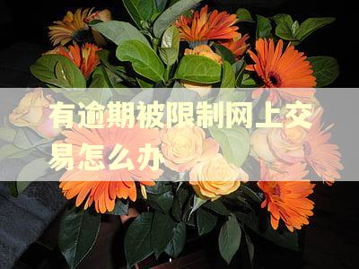 有逾期被限制网上交易怎么办