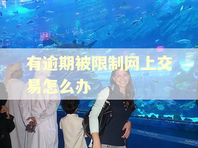 有逾期被限制网上交易怎么办