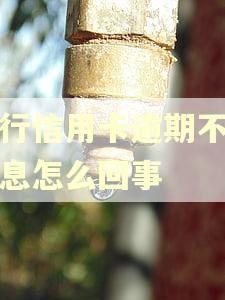 农行信用卡逾期不收利息怎么回事 农行信用卡逾期不收利息怎么回事