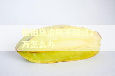 拍拍贷逾期不超过2万怎么办