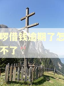 哈啰借钱逾期了怎么还不了