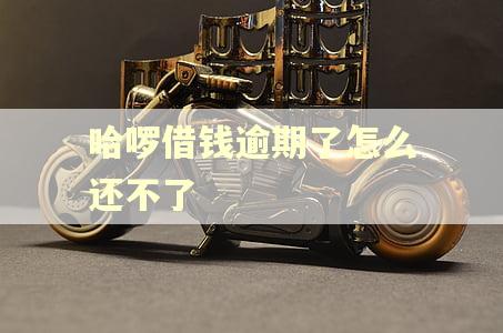 哈啰借钱逾期了怎么还不了 哈啰借钱逾期了怎么还不了