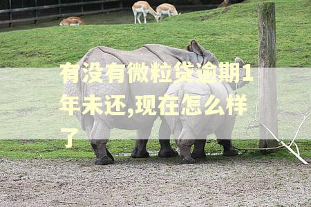 有没有微粒贷逾期1年未还,现在怎么样了