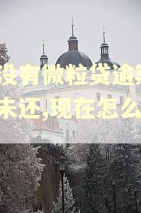 有没有微粒贷逾期1年未还,现在怎么样了 有没有微粒贷逾期1年未还,现在怎么样了
