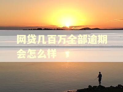 网贷几百万全部逾期会怎么样