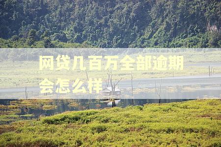 网贷几百万全部逾期会怎么样 网贷几百万全部逾期会怎么样