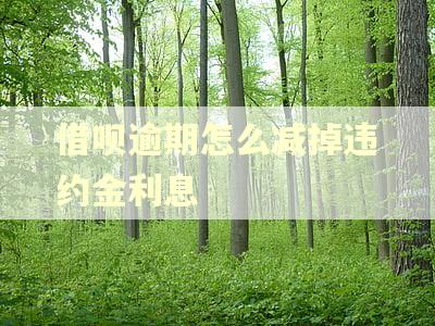 借呗逾期怎么减掉违约金利息